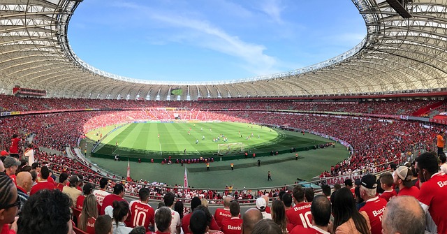 的職業運動