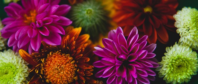 色的防守战 色的防守战