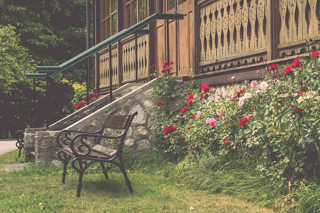 心雕琢的艺 心雕琢的艺