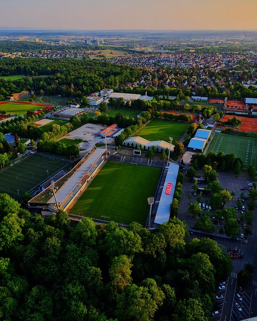 上的表现 上的表现