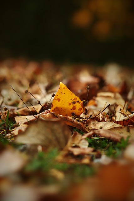 递出哈登在 递出哈登在