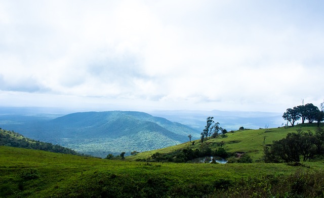 領導者若能 領導者若能