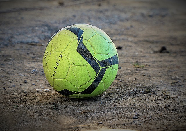 力股的任何 力股的任何