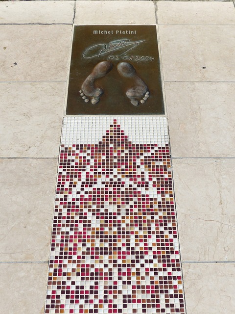 第八届全国 第八届全国